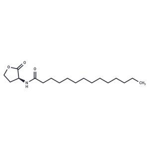 N-tetradecanoyl-L-Homoserine lactone