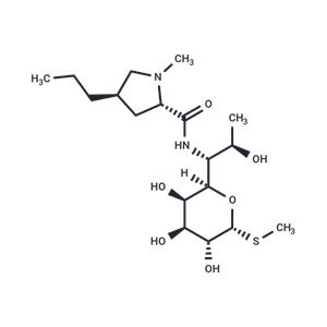 Lincomycin
