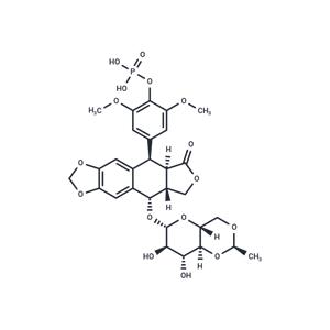 Etoposide Phosphate