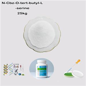 N-Cbz-O-tert-butyl-L-serine