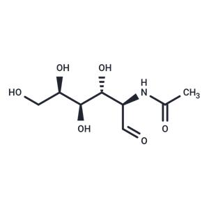 D-N-Acetylgalactosamine