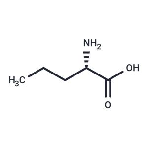 L-Norvaline