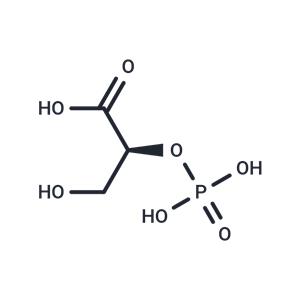 L-2-Phosphoglyceric acid