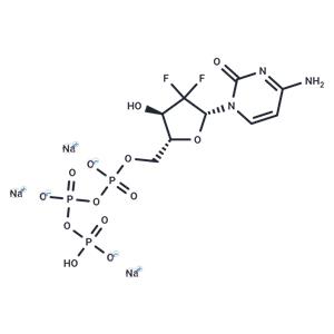dFdCTP trisodium