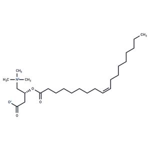 Oleoylcarnitine