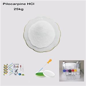 (+)-Pilocarpine hydrochloride