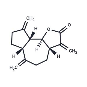 Dehydrocostus Lactone
