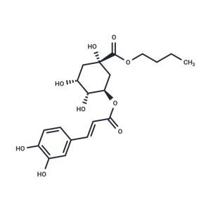 Butyl chlorogenate