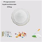 318-98-9 Propranolol hydrochloride