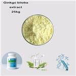 90045-38-8 Ginseng extract