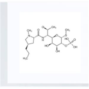 Clindamycin phosphate