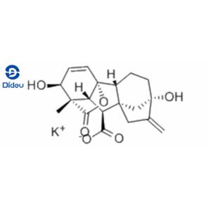 GIBBERELLIC ACID POTASSIUM SALT