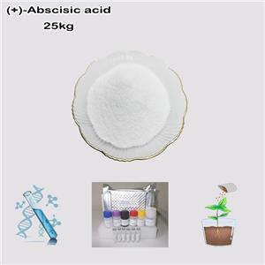 (+)-Abscisic acid