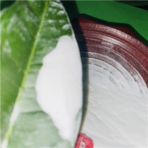 Testosterone Enanthate     ...