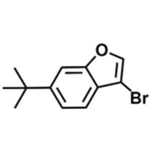 3-bromo-6-(1,1-dimethylethyl)-Benzofuran