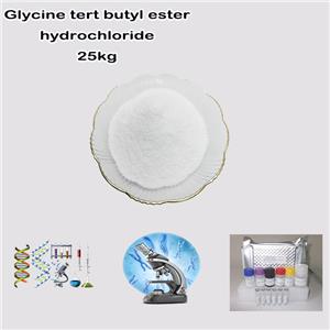 Glycine tert butyl ester hydrochloride
