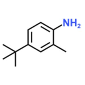 4-tert-butyl-o-toluidine