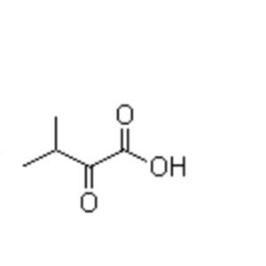 2-Oxo-3-methylbutanoic acid