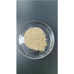 Quaternized Poly(phenylene oxide) (QPPO)