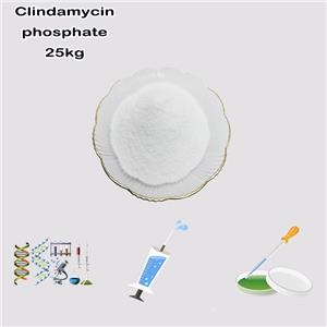 Clindamycin phosphate
