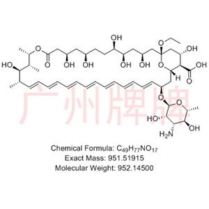 Amphotericin B Impurity C