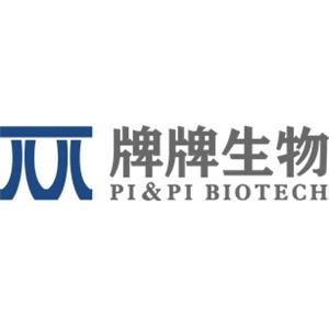 Amphotericin B Impurity E