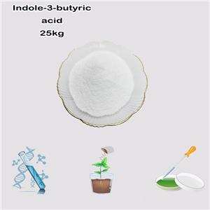 3-Indolebutyric acid