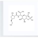 24729-96-2 Clindamycin phosphate