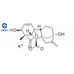 GIBBERELLIC ACID POTASSIUM SALT pictures