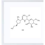 21462-39-5 Clindamycin Hydrochloride