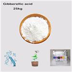 77-06-5 Gibberellic acid (GA)