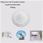 27532-96-3 Glycine tert butyl ester hydrochloride