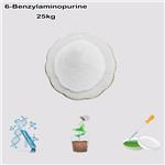 1214-39-7 6-Benzylaminopurine