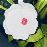 1165910-22-4 Ligandrol