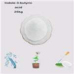 133-32-4 3-Indolebutyric acid