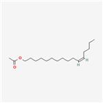 (Z)-11-Hexadecen-1-yl Acetate pictures