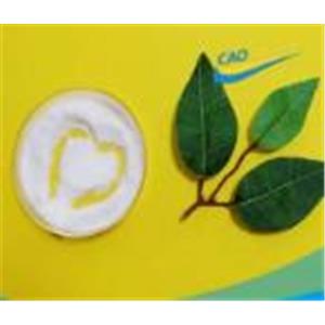 Testosterone Isocaproate