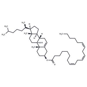 Cholesteryl Homo-γ-Linolenate