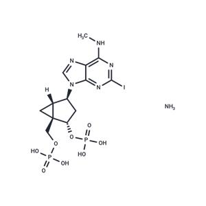 MRS2500 tetraammonium