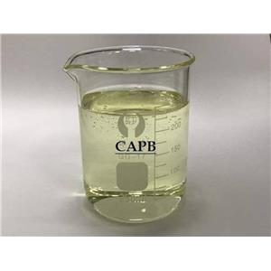 COCAMIDOPROPYL BETAINE