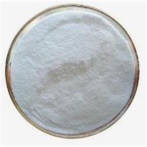 Testosterone Undecanoate