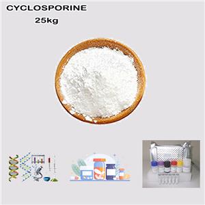 CYCLOSPORINE