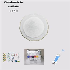 Gentamycin sulfate