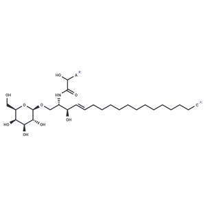 Galactosylcerebrosides (hydroxy)