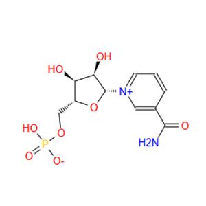 β-Nicotinamide Mononucleotide