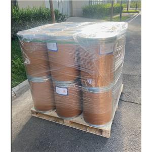 2,2',6,6'-Tetramethyl-4,4'-biphenol