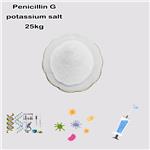 113-98-4 Potassium benzylpenicillin