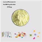 Levofloxacin Hemihydrate pictures