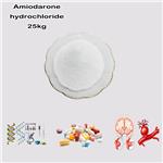19774-82-4 Amiodarone hydrochloride