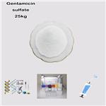 1405-41-0 Gentamycin sulfate